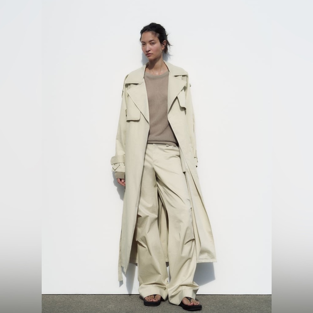 Zara full-length pleated pants